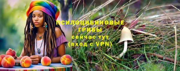 a pvp Алексеевка