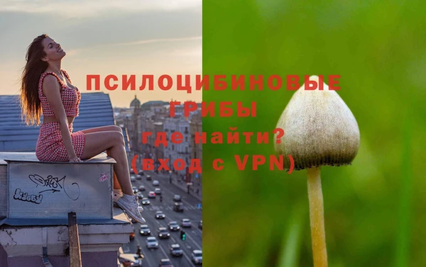 a pvp Алексеевка