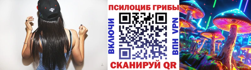 МЕГА Богородск Псилоцибиновые грибы GOLDEN TEACHER