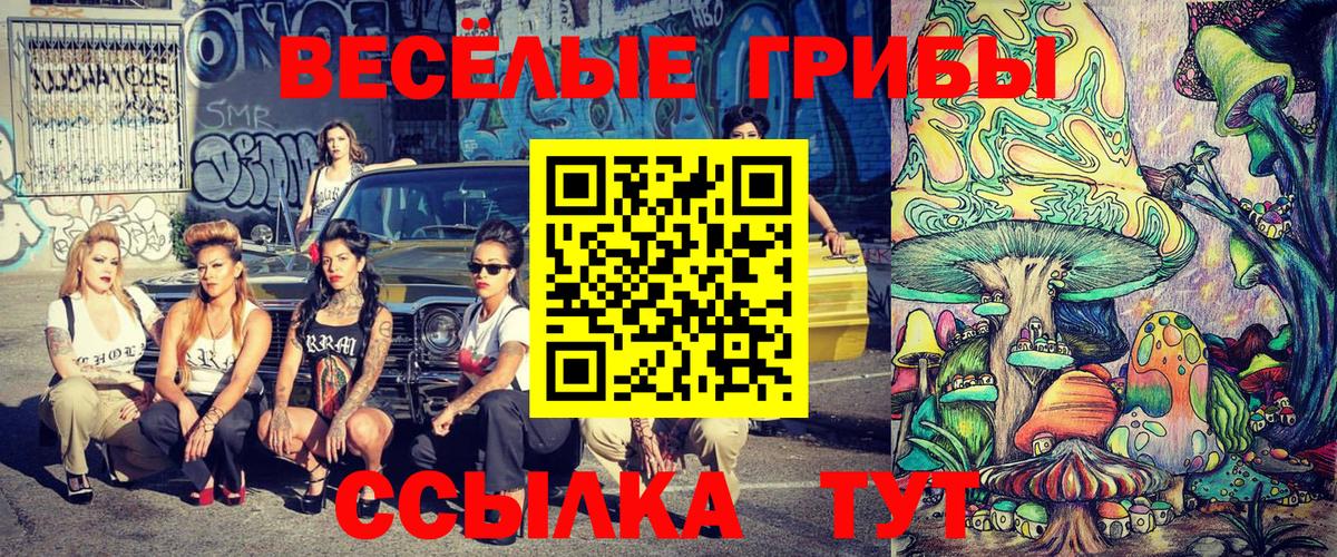 Галлюциногенные грибы прущие грибы Богородск