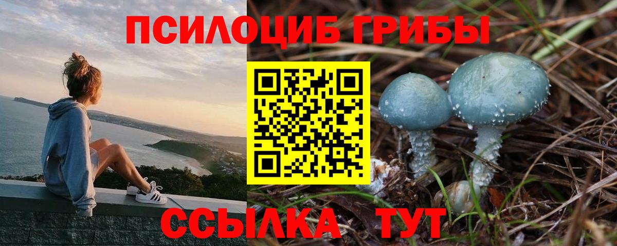 Богородск  Галлюциногенные грибы прущие грибы  Вход с VPN 